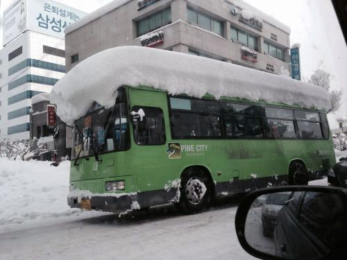 국산초밥vs원조초밥