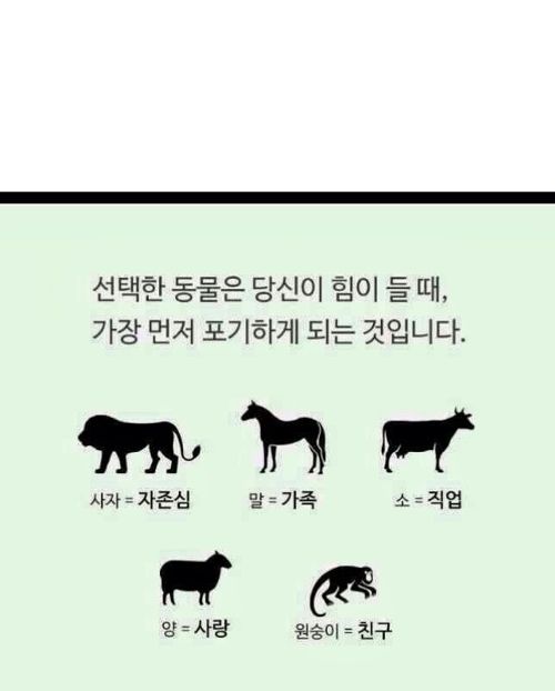 자신의 성향 심리테스트.jpg