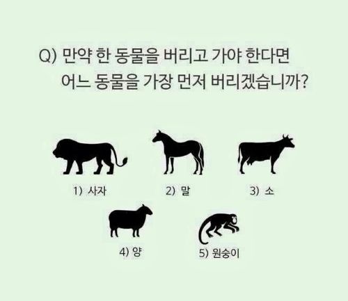 자신의 성향 심리테스트.jpg