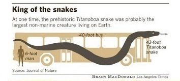멸종한 타이탄 보아뱀의 실제 모형크기