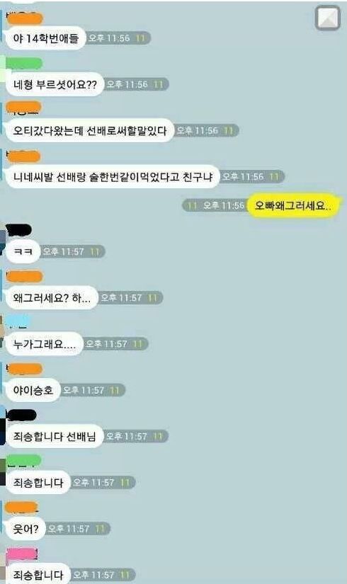 선배 역관광시키는 14학번