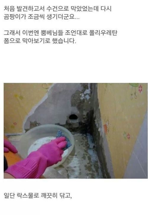 셀프 집수리.jpg