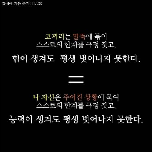 코끼리 말뚝 이론.jpg