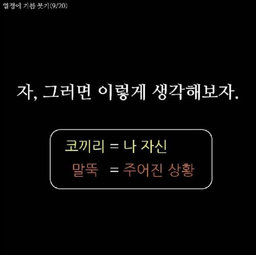 코끼리 말뚝 이론.jpg