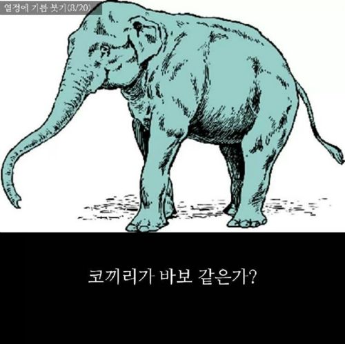 코끼리 말뚝 이론.jpg