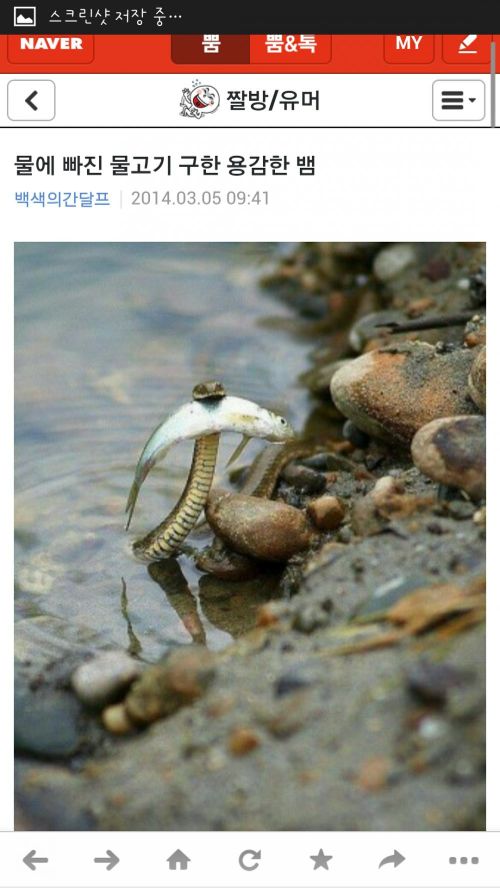 네이버 뿜의 드립력.jpg