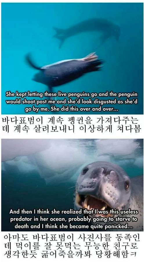 네셔널지오그래픽 레전드