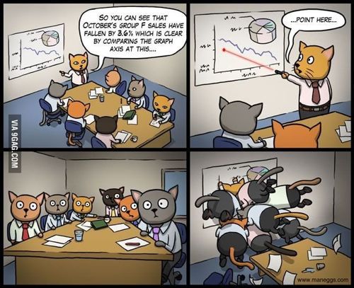 고양이들의 회의.jpg