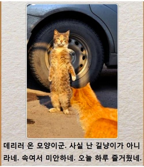 [스압]동물제목학원.jpg