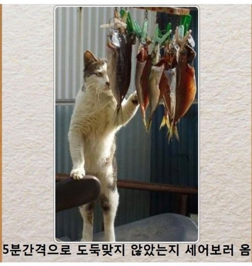 [스압]동물제목학원.jpg