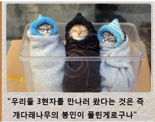 [스압]동물제목학원.jpg