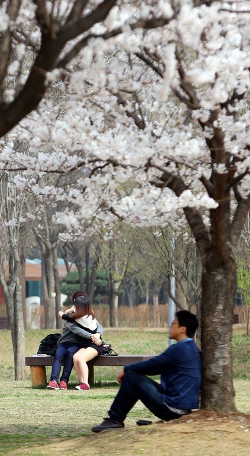 눈물이 한방울 뚝 떨어진 사진