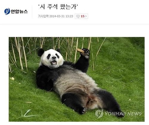 시진핑 주석을 맞는 팬더의 여유.jpg