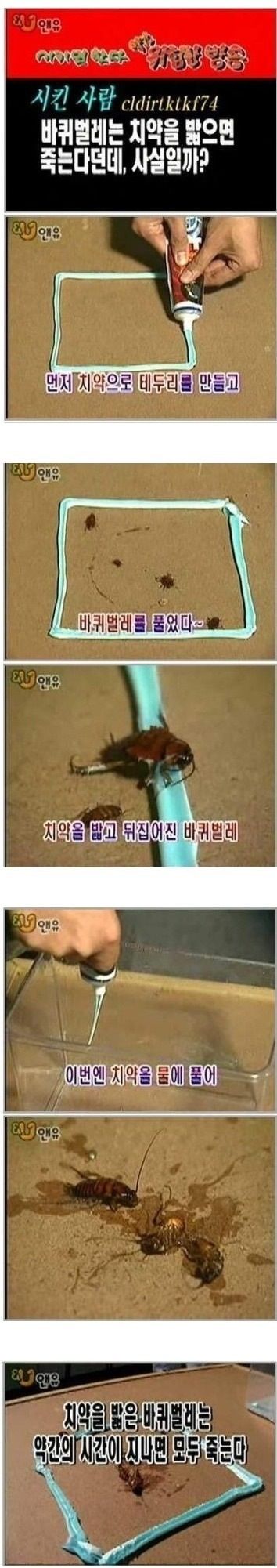 [혐]군대에 바퀴벌레가 많이 없는 이유