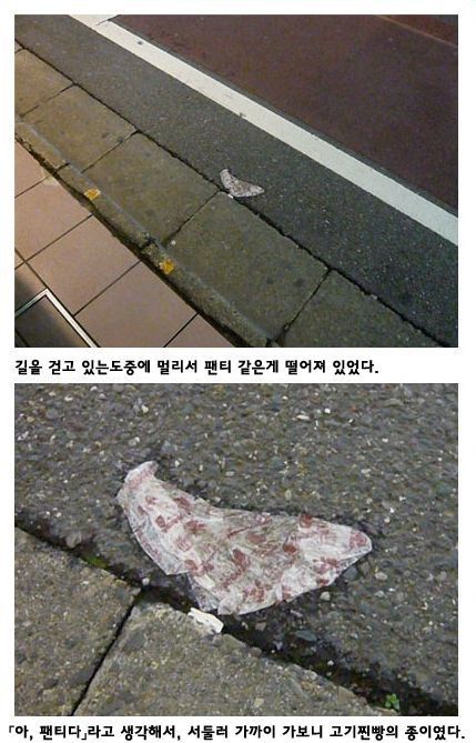 길에서 발견한 팬티.jpg