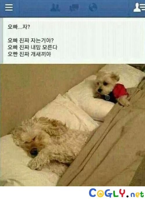 오빠 진짜 자는거야?.jpg