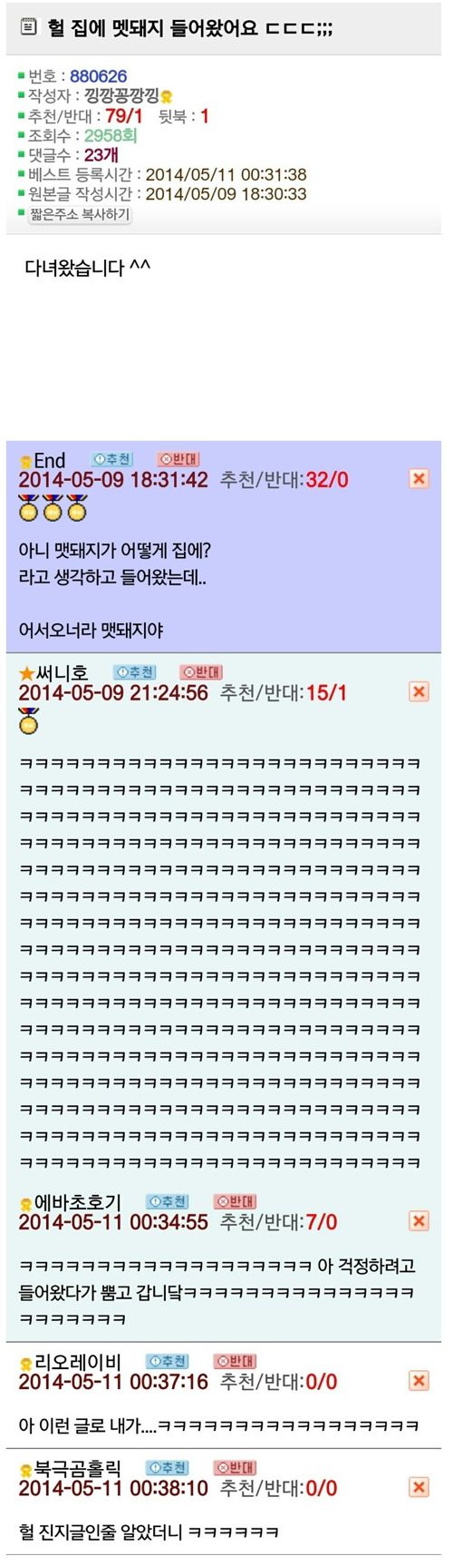 집에 멧돼지가 들어왔어요