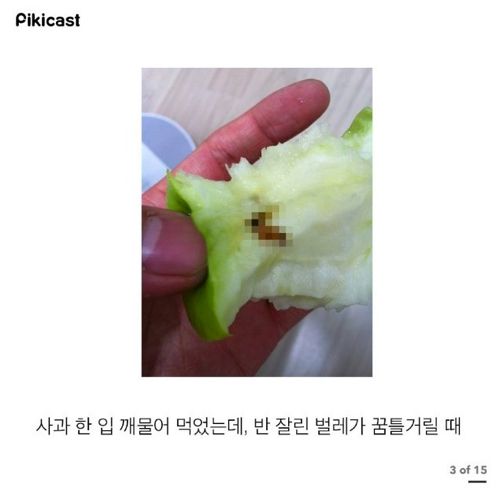 일상에서 진짜 짜증 나는 순간