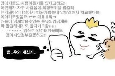 개가사람얼굴을핥는 이유.jpg