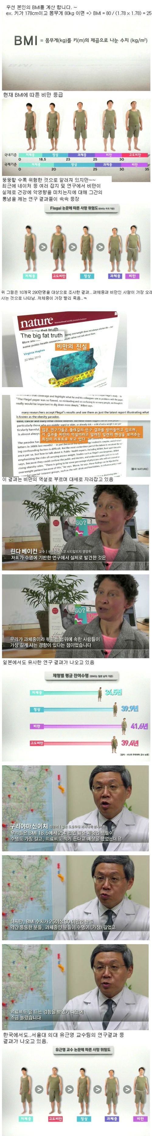 비만의 역설.jpg