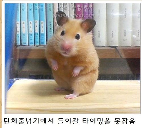 열도의 제목학원 우수작38