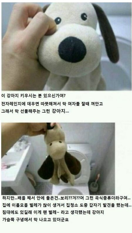 [약혐]강아지 인형 주의보