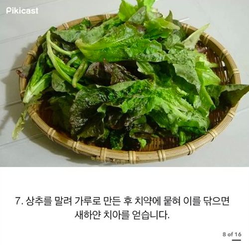 알아두면 쓸데있을 팁.jpg