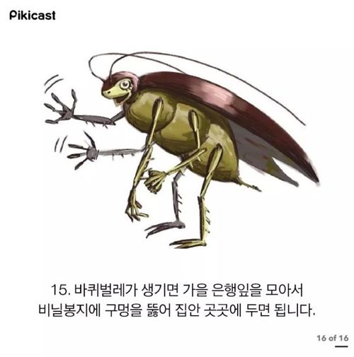 알아두면 쓸데있을 팁.jpg