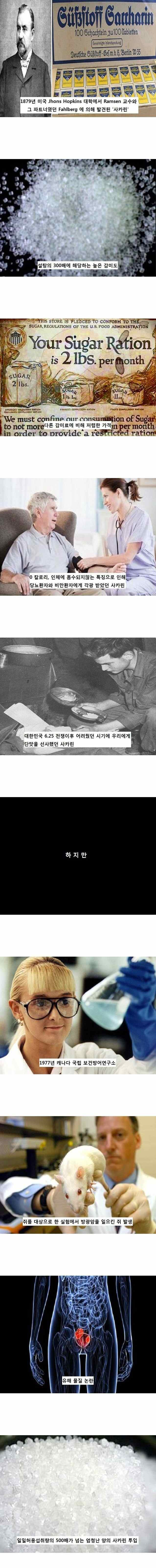 사카린의 진실.jpg