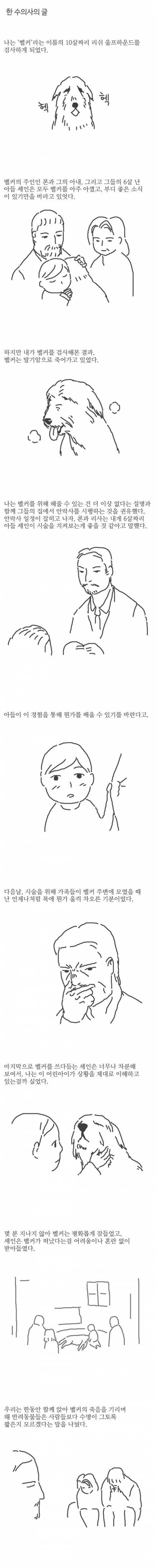 [스압]개의 수명이 사람보다 훨씬 짧은 이유