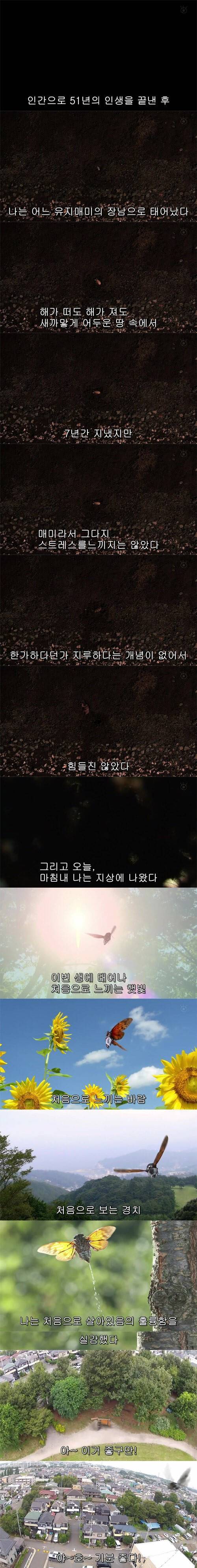 기묘한 이야기-내세 부동산02