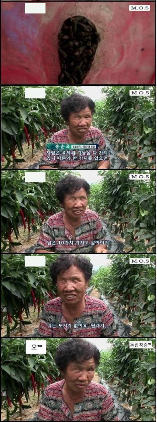 [스압]포기를 모르는 할머니.jpg