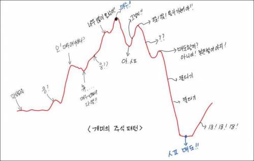 개미들의 주식 패턴.jpg