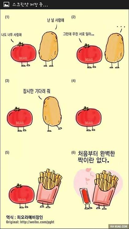 토마토와 감자의 사랑.jpg