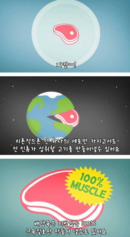 [스압]미래의 고기, 배양육