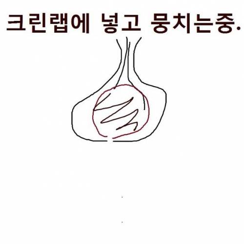 [혐주의] 리얼 브라우니 요리하기