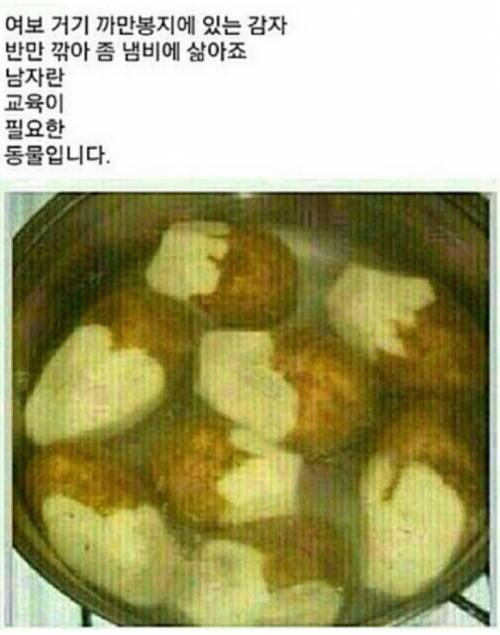 프로그래머 남편한테 감자 깍아달라고 해 봤다