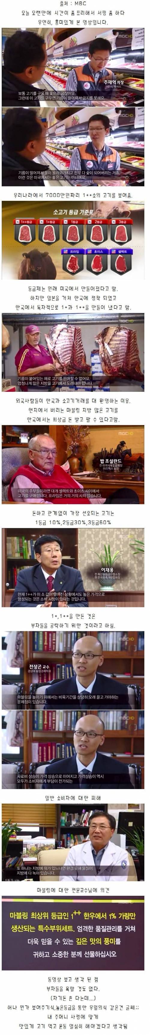 한국 소고기 등급제의 문제점