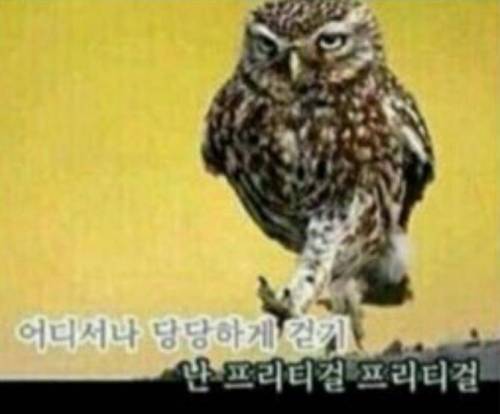 노래방 배경과 가사의 싱크