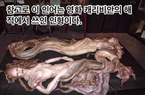 페이스북의 현실