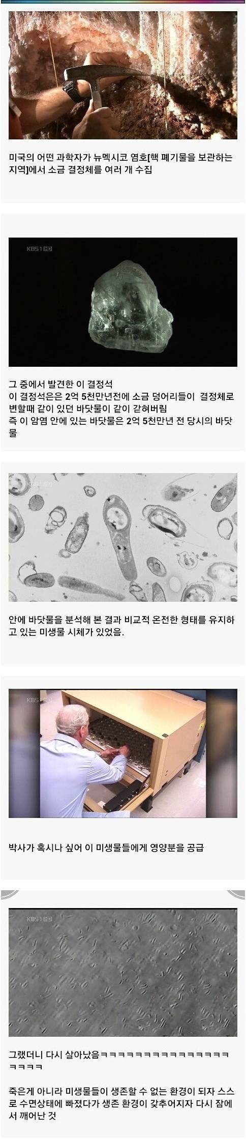 기적의 2억5천만년