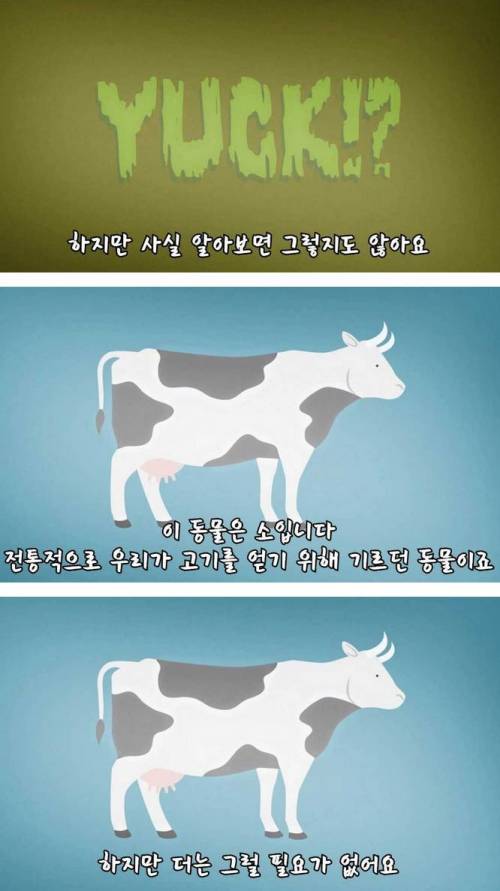 [스압]미래의 고기, 배양육