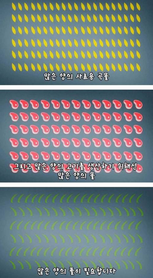 [스압]미래의 고기, 배양육