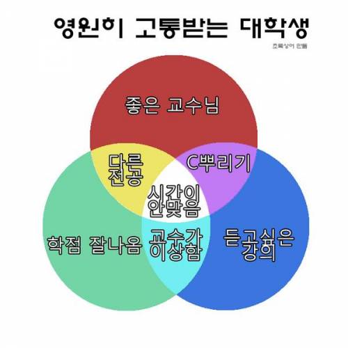 대학생 공감짤.jpg