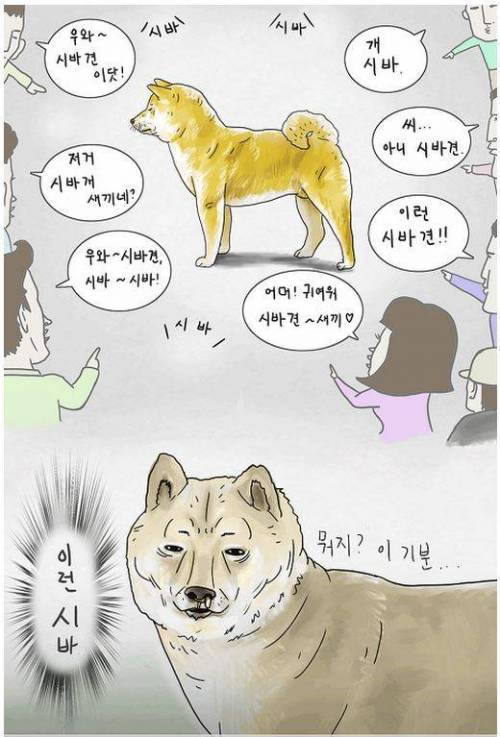 와~ 시바견이다.jpg