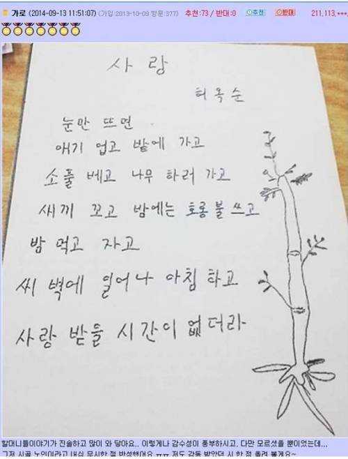 뒤늦게 한글을 배운 할머니들의 시