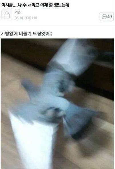 여시의 술버릇.jpg