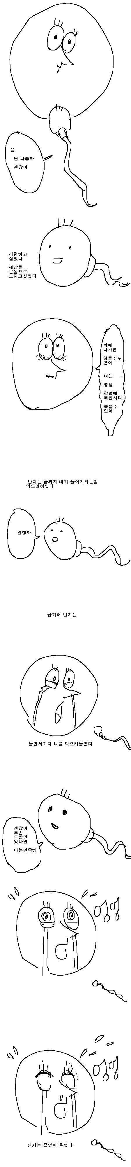 정자와 난자.jpg