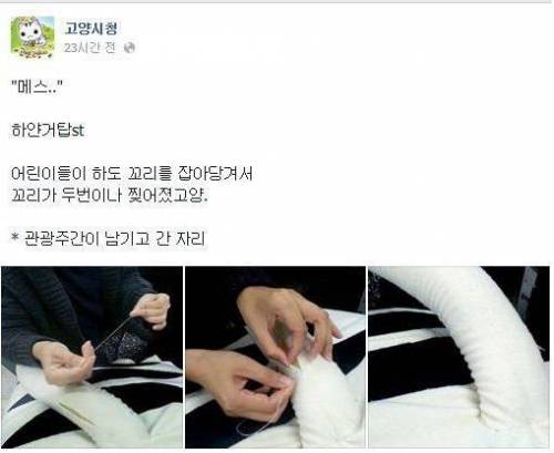 극한의 직업 ... 고양시청 고양이