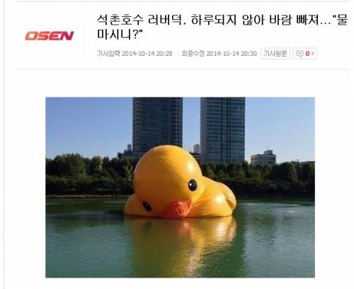 자극적인 기사들의 희생양이 된